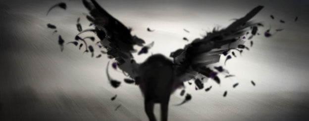 mystere mothman