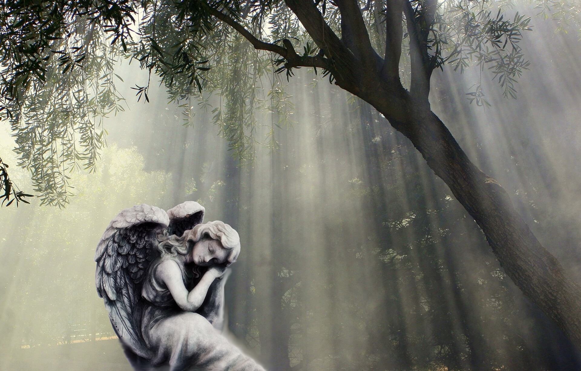 Archange Raphaël Padre, Médium et les Anges Gardiens