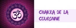 chakra de la couronne